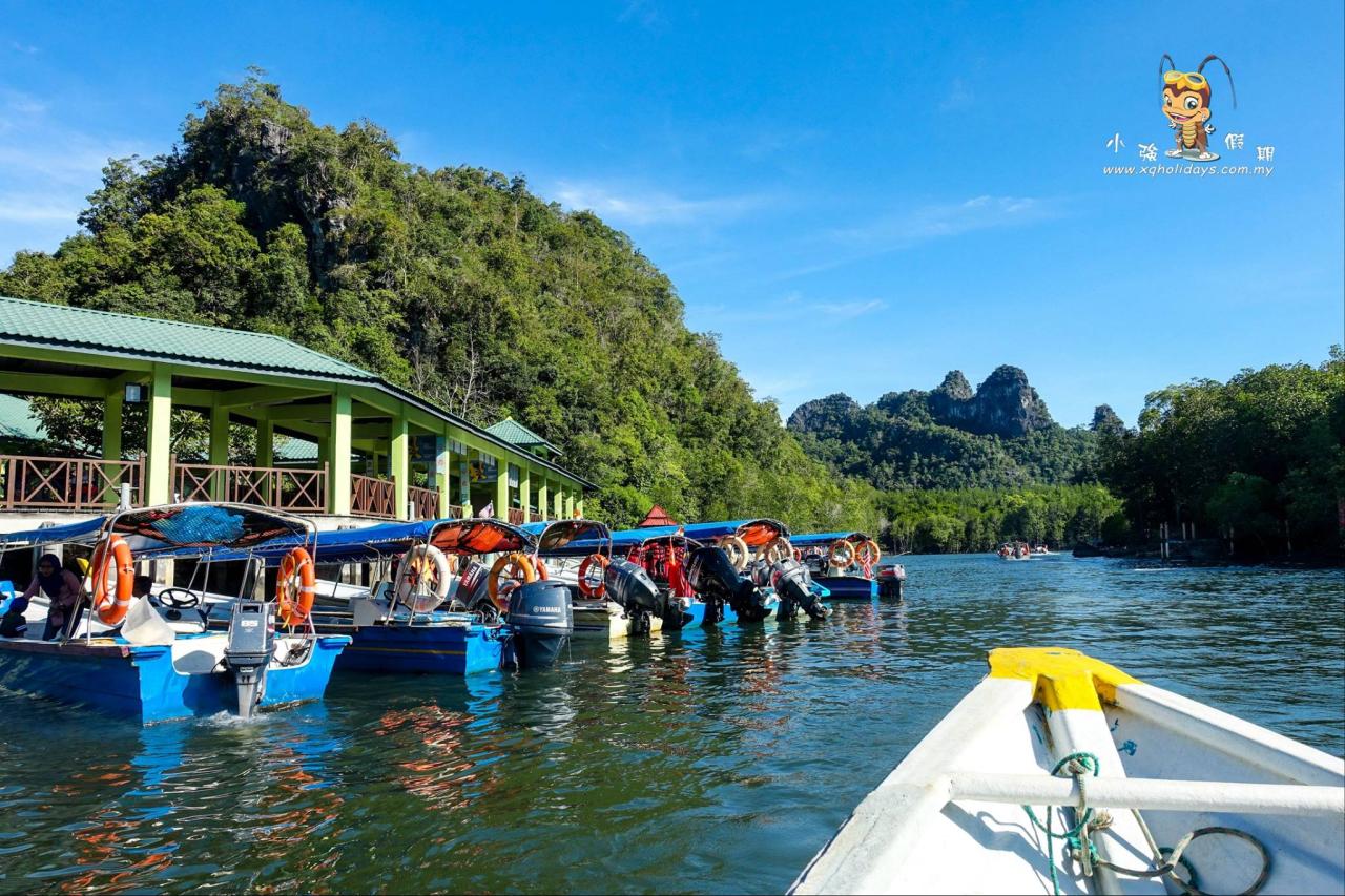 Jelajahi Keindahan Mangrove Langkawi dengan Tur Menakjubkan