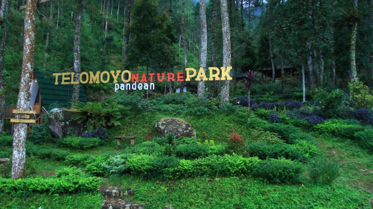 Telomoyo Nature Park: Surga Alam di Lereng Merapi